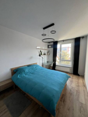 Loft Apartment